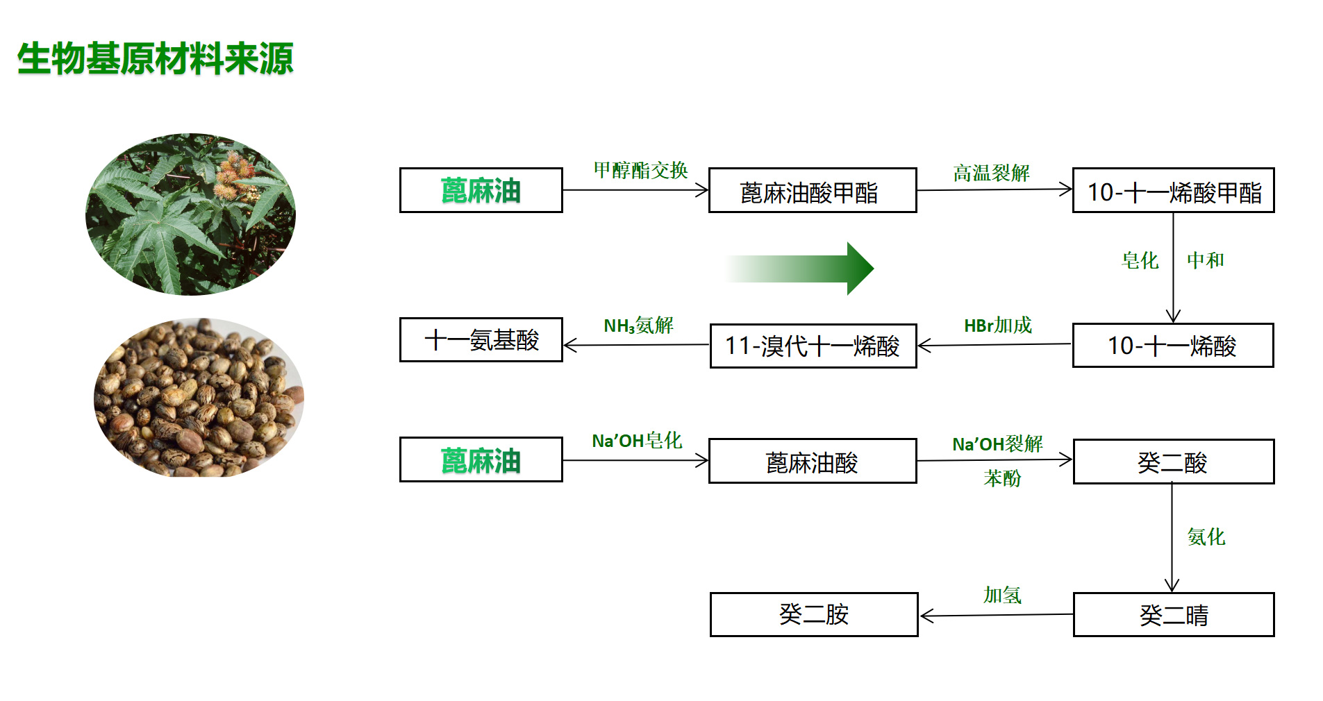 锦睿11.jpg